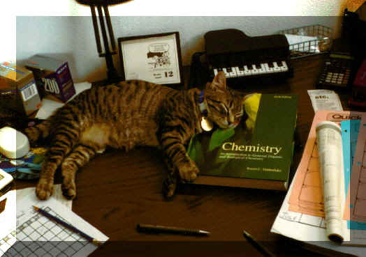 kona.jpg (24251 bytes)